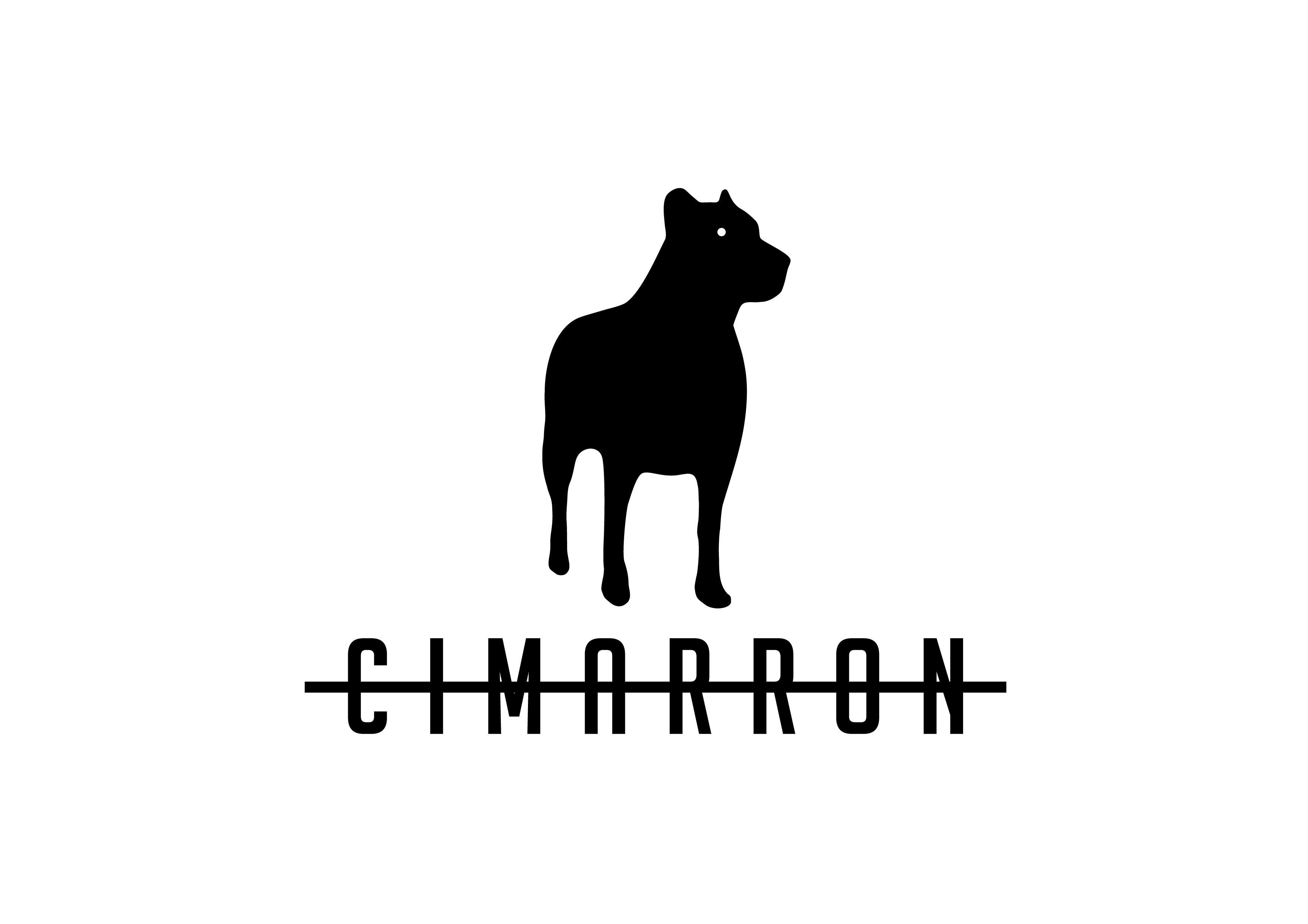 Cimarrón Cine