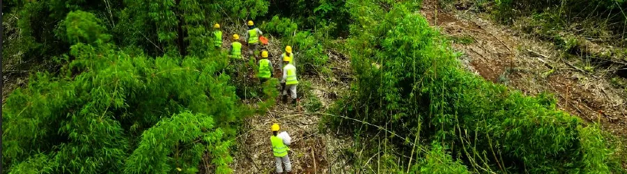 Trabajo en el territorio del proyecto Vida Nativa